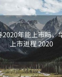 华龙证券2020年能上市吗，华龙证券 上市进程 2020