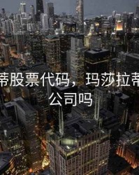 玛莎拉蒂股票代码，玛莎拉蒂是上市公司吗