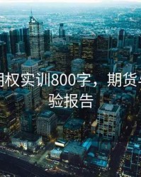 期货与期权实训800字，期货与期权实验报告
