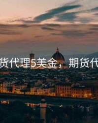 期货代理5美金，期货代购