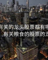 与粮食有关的龙头股票都有哪几个最牛股，有关粮食的股票的龙头股