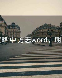 期货策略 中 方志word，期货方案