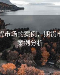 关于期货市场的案例，期货市场典型案例分析