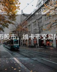 维卡币股市，维卡币交易所上市