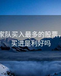 2020国家队买入最多的股票，国家队买进是利好吗