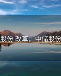 中储股份 改革，中储股份业务