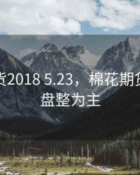 棉花期货2018 5.23，棉花期货仍震荡盘整为主