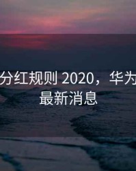 华为tup分红规则 2020，华为tup分红最新消息
