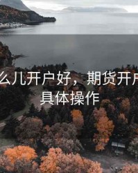 期货 怎么儿开户好，期货开户流程的具体操作