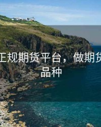 怎么选正规期货平台，做期货怎么选品种