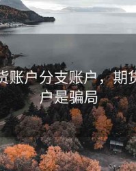 机构期货账户分支账户，期货机构账户是骗局