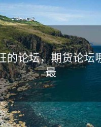 期货最旺的论坛，期货论坛哪个人气最