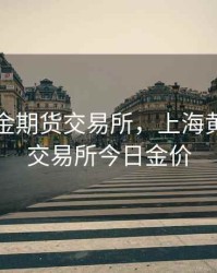 上海黄金期货交易所，上海黄金期货交易所今日金价