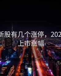 2020年新股有几个涨停，2020年新股上市涨幅