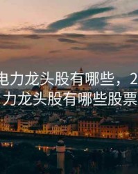 2020年电力龙头股有哪些，2020年电力龙头股有哪些股票