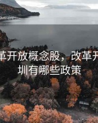 深圳改革开放概念股，改革开放的深圳有哪些政策