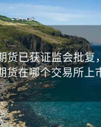 乙二醇期货已获证监会批复，乙二醇期货在哪个交易所上市