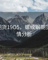 螺纹钢期货19O5，螺纹钢期货2101行情分析