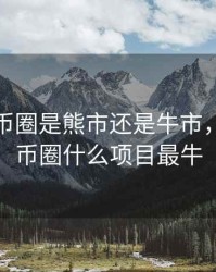 2020年币圈是熊市还是牛市，2020年币圈什么项目最牛
