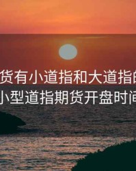 道指期货有小道指和大道指的区别，小型道指期货开盘时间