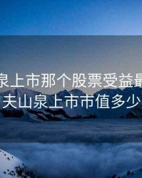 农夫山泉上市那个股票受益最大，农夫山泉上市市值多少