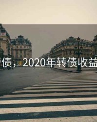 2020转债，2020年转债收益怎么样