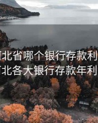 2020 河北省哪个银行存款利息最高，河北各大银行存款年利率