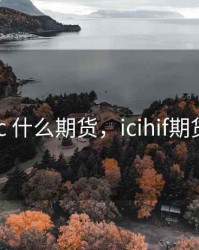 ic 什么期货，icihif期货