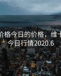 维卡币价格今日的价格，维卡币价格今日行情2020.6