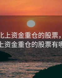 2020年北上资金重仓的股票，2020年北上资金重仓的股票有哪些