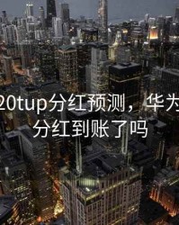 华为2020tup分红预测，华为2021年分红到账了吗