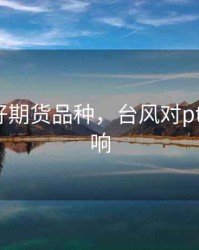 台风利好期货品种，台风对pta期货影响