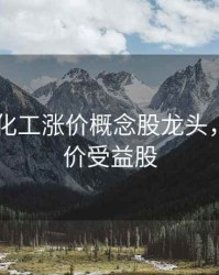 2020年化工涨价概念股龙头，化工涨价受益股