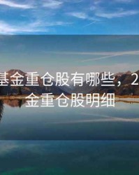 2020年基金重仓股有哪些，2021年基金重仓股明细