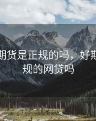 好期宝期货是正规的吗，好期贷是正规的网贷吗