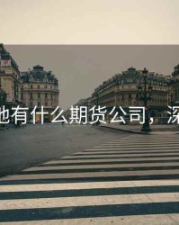 深圳本地有什么期货公司，深圳 期货