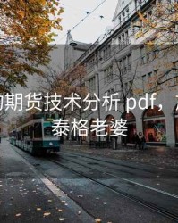施威格的期货技术分析 pdf，施威因施泰格老婆