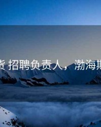 渤海期货 招聘负责人，渤海期货待遇