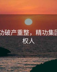 2020精功破产重整，精功集团最大债权人