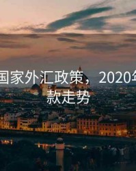 2020年国家外汇政策，2020年外汇占款走势