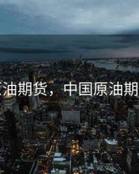 中国原油期货，中国原油期货价格