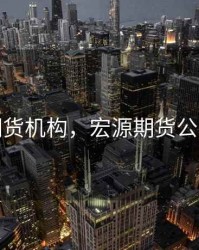 宏源期货机构，宏源期货公司简介