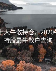 2020年十大牛散持仓，2020牛散最新持股最牛散户查询