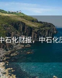 2020年中石化财报，中石化历年财报