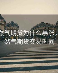 美国天然气期货为什么暴涨，美国天然气期货交易时间