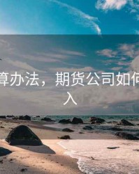 期货核算办法，期货公司如何核算收入