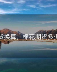 棉花期货换算，棉花期货多少钱一点