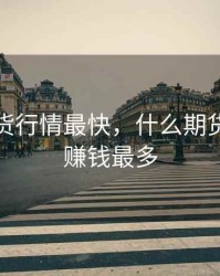 什么期货行情最快，什么期货最便宜赚钱最多