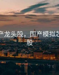 芯片国产龙头股，国产模拟芯片龙头股