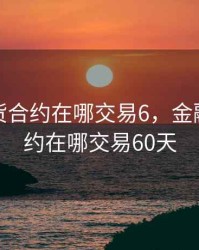 金融期货合约在哪交易6，金融期货合约在哪交易60天
